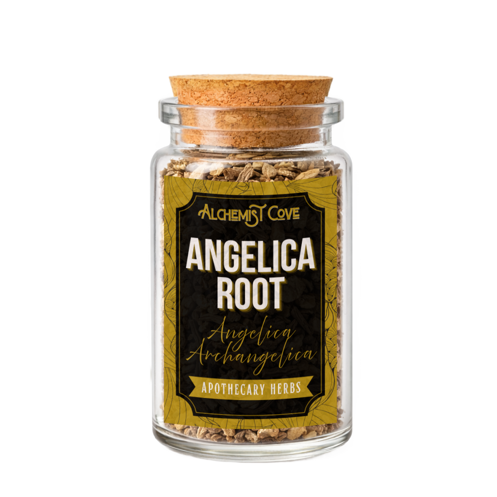 Angelica Root