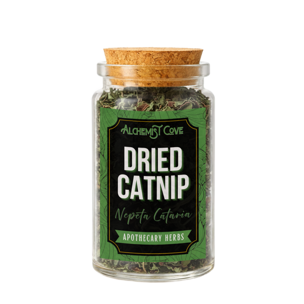 Catnip